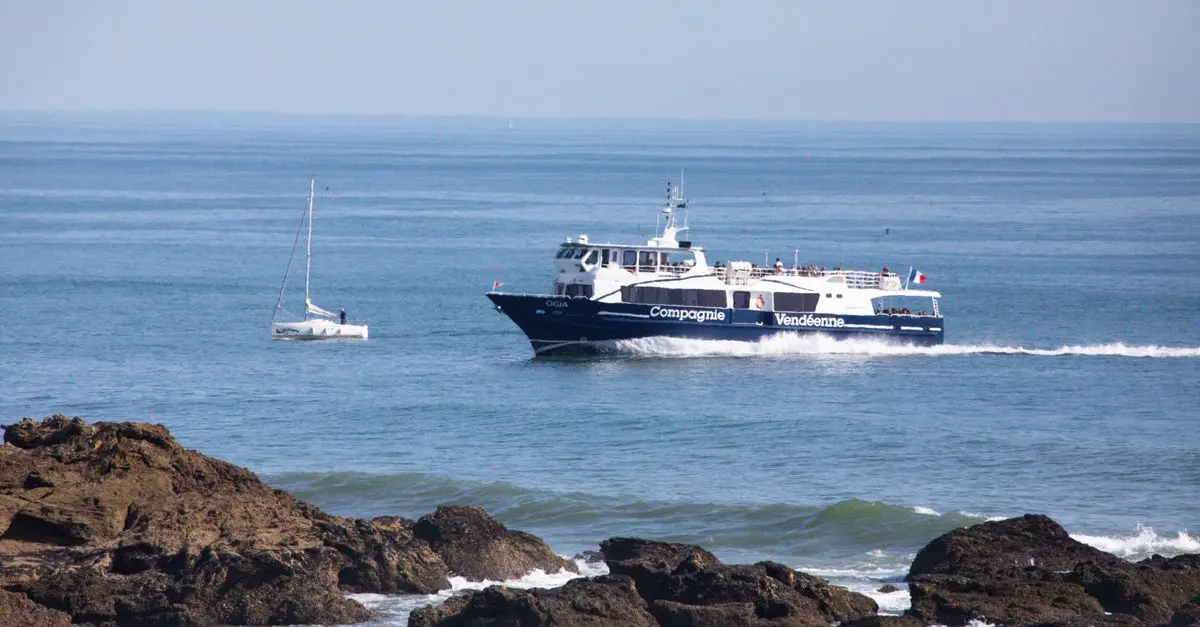 Beneficios de la hidratación adecuada para tu salud