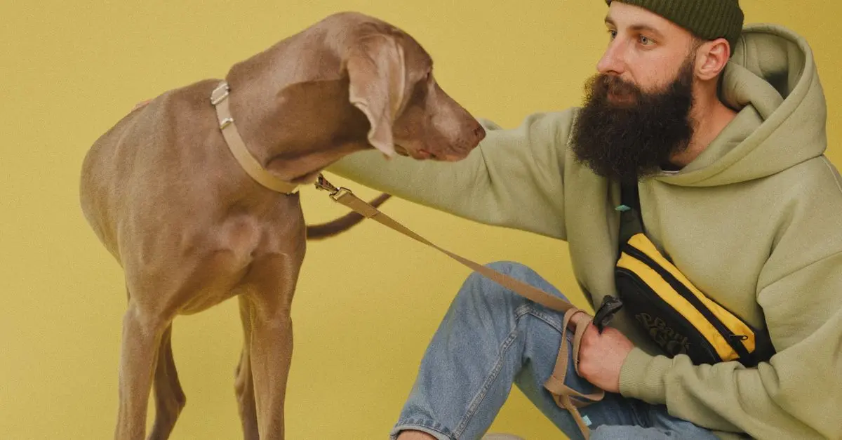 Guide d'achat : Accessoires pour Animaux