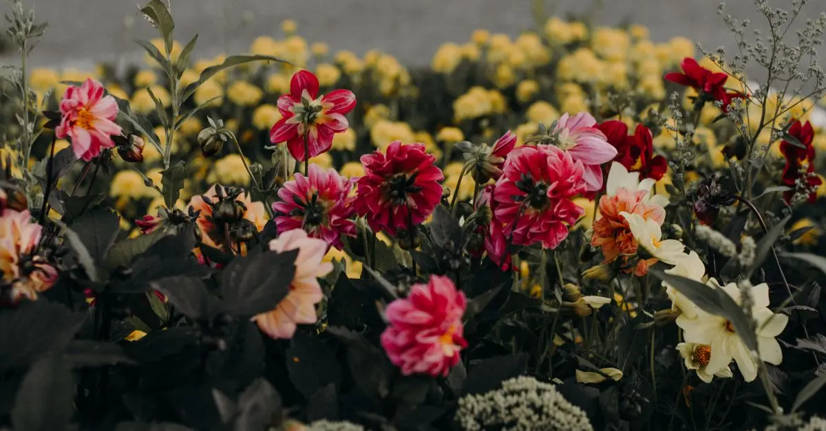 Guide d'Achat Complet des Outils de Jardinage